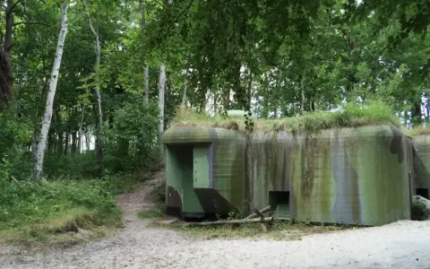 Skansen fortyfikacji Jastarnia: betonowe bunkry w kamuflażu, porośnięte trawą, ukryte wśród drzew i piasku.