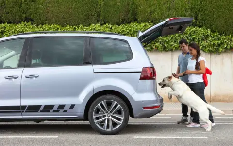 Pareja ayuda a su perro a subir al mejor coche para llevar perros, un monovolumen plateado con el maletero abierto.