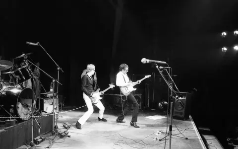 Deux guitaristes d'un groupe français rock jouent sur scène, éclairés par des projecteurs.