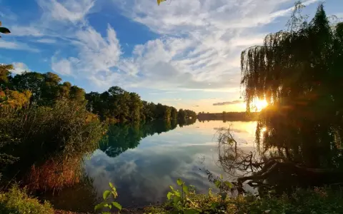 Sonnenuntergang am Rimsinger Baggersee. Die Wolken spiegeln sich im ruhigen Wasser, umrahmt von Bäumen und Schilf.