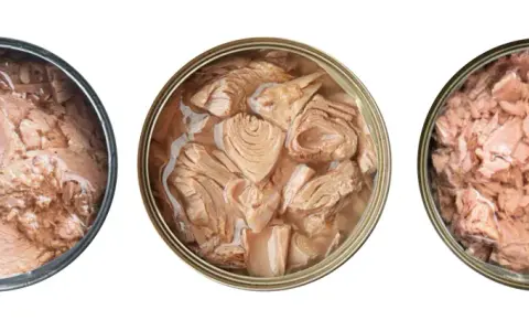 Trois boîtes de thon ouvertes : une avec des morceaux entiers, une avec des morceaux plus petits, et une émiettée. Idéal pour une recette thon en boite rapide.