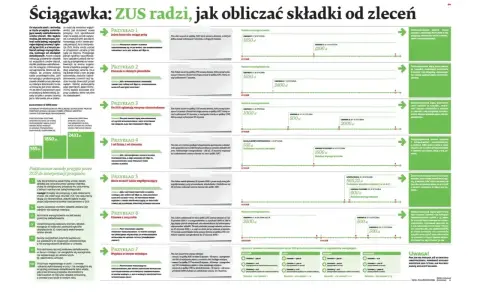 Umowa uaktywniająca dla niani: ZUS radzi, jak obliczyć składki od zleceń. Przykłady i interpretacje przepisów.