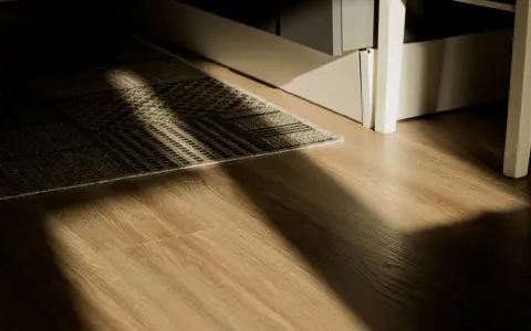 Rayons de soleil traversant un tapis sur un plancher de bois. L'isolation du plancher bois est discrète sous le tapis.
