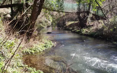 Un suggestivo ponte tibetano nel Lazio attraversa un ruscello tra alberi e vegetazione rigogliosa, creando un'atmosfera incantevole.