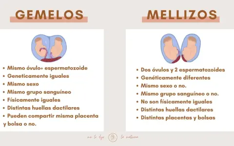 Infografía que explica la diferencia entre gemelos y mellizos, mostrando sus orígenes y características.