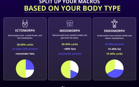 Diagrammet visar hur man delar upp sina **macros svenska** baserat på kroppstyp: ektomorf, mesomorf och endomorf, med rekommenderade fördelningar av kolhydrater, fett och protein.