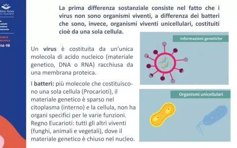 Illustrazione che mostra la differenza tra virus (organismo non vivente con materiale genetico) e batteri (organismi viventi unicellulari).