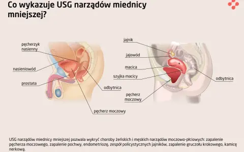 Ból jąder: Przyczyny, objawy alarmowe i pilna pomoc