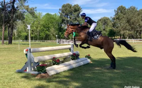 Un cavalier et son cheval brun franchissent un obstacle en bois lors d'une compétition de sports équestres.