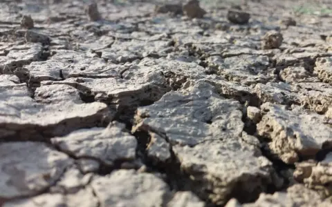 Terreno arido e crepato, un esempio di suolo che necessita di interventi per come abbassare la salinità del terreno e renderlo fertile.