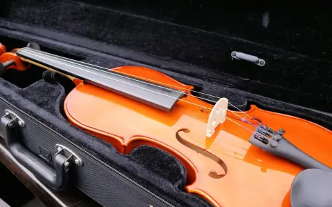Eine glänzende Geige liegt im schwarzen Kasten. Ob Geige vs. Violine, beide Instrumente verzaubern mit ihrem Klang.
