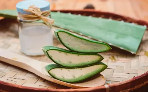 Tranches d'aloe vera sur une cuillère en bois, prêtes à apaiser un coup de soleil. Gel d'aloe vera dans un petit pot à côté.