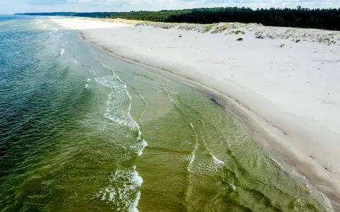 Piękne, piaszczyste plaże w Polsce, z zielonymi wodami Bałtyku i sosnowym lasem w tle.