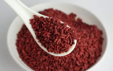 Un cucchiaio bianco pieno di riso rosso fermentato, ingrediente noto per il suo effetto sul gonfiore addominale.