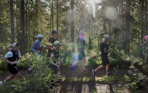 Löpare i skogen under Ultravasan 90. Solen strilar genom träden och lyser upp stigen där deltagarna springer.