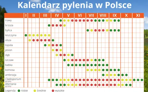 Co pyli w Szczecinie? Aktualny raport + kalendarz i ulga dla alergika