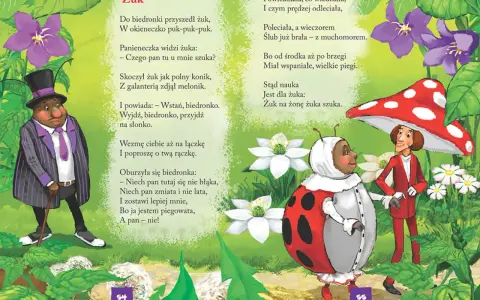 Ilustracja do wierszy o przyrodzie Jana Brzechwy. Żuk w meloniku i biedronka w sukni rozmawiają wśród kwiatów.