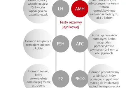 AMH badanie: hormon kluczowy dla oceny rezerwy jajnikowej, marker płodności u obu płci.
