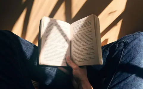 Mani che sfogliano un libro aperto, illuminato da raggi di sole. Un momento di pace e consigli libri.