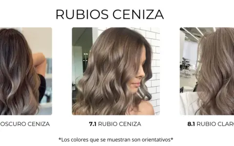 Tres tonos de cabello rubio ceniza: oscuro, medio y claro. El color de pelo rubio oscuro es el más profundo.