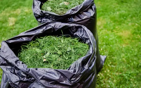 Dwa czarne worki wypełnione zieloną trawą, gotowe do kompostowania. Zgnita trawa jako nawóz wzbogaci glebę.