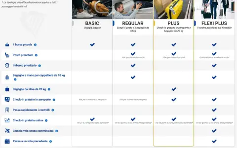 Bagaglio Stiva Ryanair: Dimensioni, Costi e Regole 2024