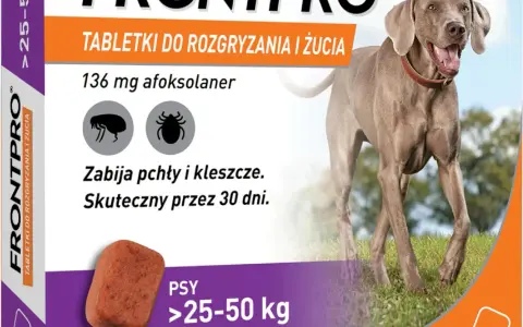 Jakie tabletki na kleszcze dla psa? Wybierz najlepsze i bezpieczne!