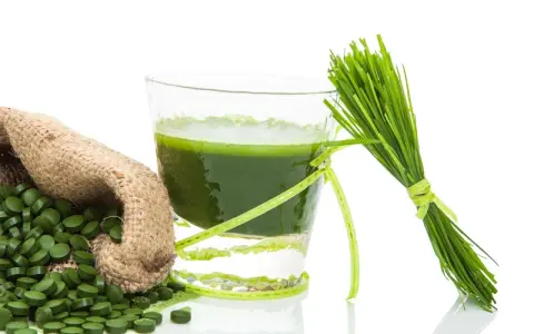 Gerstengras-Saft, Tabletten und frische Halme – ideal für die Stillzeit.
