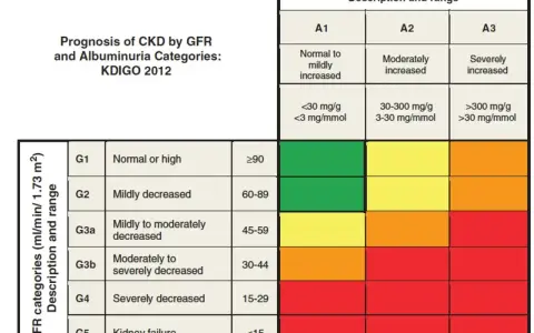 Tabela prognozy PChN wg KDIGO 2012. Pokazuje, jak egfr co to i albuminuria wpływają na ryzyko.