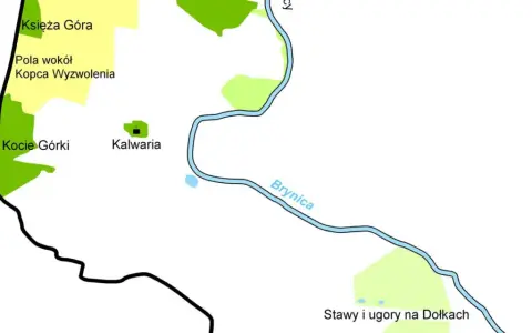 Mapa pokazuje okolice, gdzie leżą Tarnowskie Góry: Księżą Górę, Kalwarię, Kocie Górki i rzekę Brynicę.