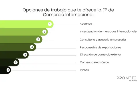 Opciones de trabajo en comercio internacional en España: aduanas, investigación de mercados, consultoría, exportaciones, comercio exterior, e-commerce y pymes.