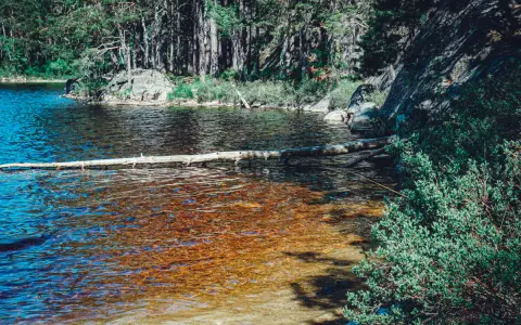 En stilla sjö med en fallen trädstam som flyter på ytan. Skogen och klipporna runt omkring ger en känsla av var ligger Tiveden.