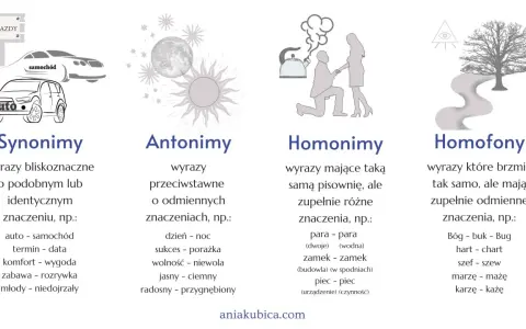 Ilustracja przedstawia cztery kategorie językowe: synonimy, antonimy, homonimy i homofony. Antonymy to wyrazy o przeciwnych znaczeniach, jak dzień i noc.