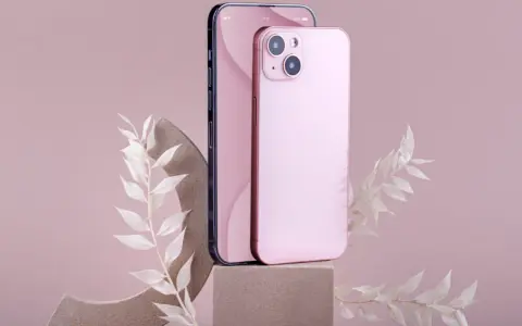 Dwa telefony, jeden ciemny, drugi różowy iPhone 11, stoją na kamiennych podstawkach, ozdobione delikatnymi, białymi gałązkami.