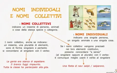 Spiegazione dei nomi collettivi e individuali per la classe terza, con esempi visivi di musicista, ape, isola, orchestra, sciame e arcipelago.