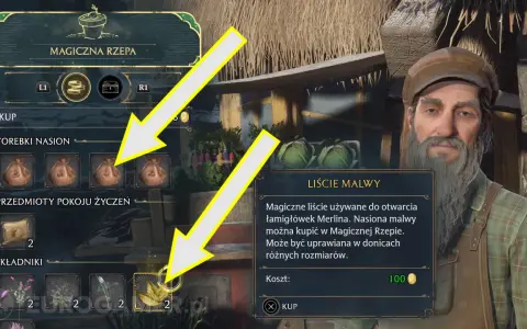 Gracz w grze Hogwarts Legacy kupuje nasiona malwy w Magicznej Rzepie.