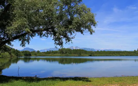 Un ramo di un grande albero ombreggia la riva erbosa del lago di Ragogna. Le montagne sullo sfondo si riflettono sull'acqua calma.
