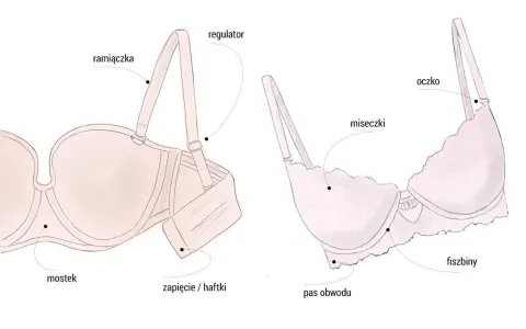 Ilustracja pokazuje budowę stanika, pomagając zrozumieć, jak obliczyć rozmiar stanika. Widoczne są ramiączka, miseczki, fiszbiny, pas obwodu i zapięcie.