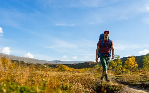 Man med ryggsäck vandrar på en stig i svensk fjällterräng under en klarblå himmel. Höstfärger lyser upp landskapet.
