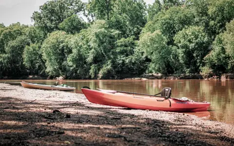 Dwa kajaki na brzegu rzeki na Podlasiu, otoczone bujną zielenią drzew.