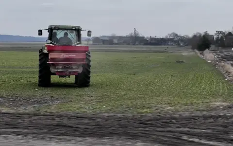 Nawóz Bontar kiedy stosować - najlepsze terminy i metody aplikacji