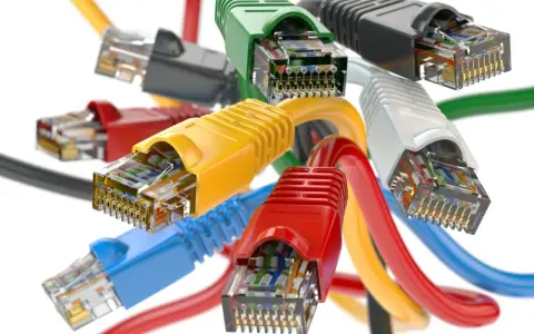 Un bouquet de câbles réseau RJ45 multicolores, prêts à connecter le monde. Une catégorie de câbles essentielle pour le réseau.