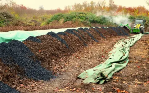 Reihen von Komposthaufen, die für Biomasse Energie vorbereitet werden. Ein Radlader bearbeitet das Material, während Dampf aufsteigt.