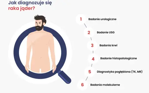 Ilustracja przedstawia schemat diagnozowania raka jąder. Wymienione badania to: urologiczne, USG, krwi, histopatologiczne, pogłębiona diagnostyka (TK, MR) i molekularne.