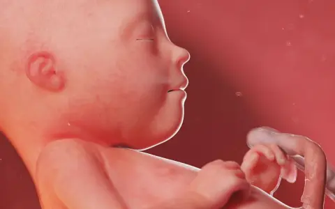 Dziecko w 21 tygodniu ciąży, z zamkniętymi oczami i dłońmi blisko twarzy, otoczone płynem owodniowym.