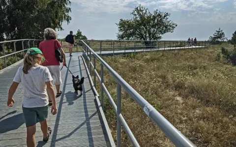 Spacer po ścieżce widokowej w otoczeniu przyrody. W oddali widać ludzi, a na pierwszym planie idzie dziewczynka z psem. To miejsce przypomina krajobraz z opowieści o kopcu Kaszubów.