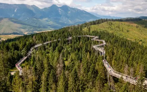 Ścieżka w koronach drzew na Słowacji, blisko granicy z Polską, oferuje wspaniałe widoki na Tatry. To jedna z najciekawszych słowackich atrakcji przy granicy z Polską.