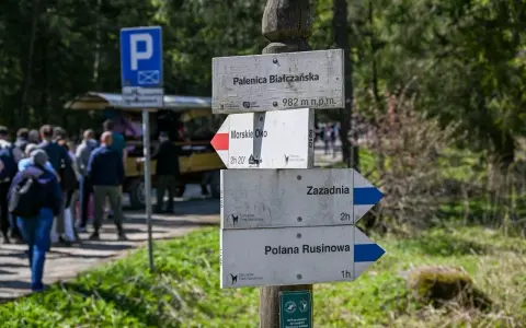 Rozdroże szlaków w górach. Co oznacza żółty szlak w górach? Tutaj widzimy drogowskazy na Palenicę Białczańską, Morskie Oko, Zazadnią i Polanę Rusinową.