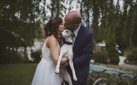 Un couple s'embrasse tendrement, tenant leur chien, dans cette photo de mariage.