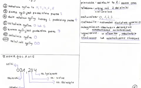 Podział liczby, zasady podzielności i zaokrąglanie – to matematyczne zagadnienia, które przypominają lekcję z epoki "Zbrodni i kary".